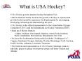 What is USA Hockey PowerPoint PPT Presentation