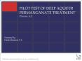 PILOT TEST OF DEEP AQUIFER PERMANGANATE TREATMENT Phoenix, AZ PowerPoint PPT Presentation