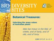 Botanical Treasures:
