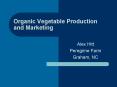 Organic Vegetable Production and Marketing PowerPoint PPT Presentation