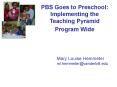 PBS Goes to Preschool: Implementing the Teaching Pyramid Program Wide PowerPoint PPT Presentation