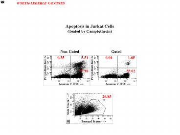 PPT – Apoptosis in Jurkat Cells PowerPoint presentation | free to view ...