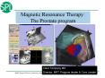 Magnetic Resonance Therapy: The Prostate program PowerPoint PPT Presentation