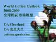 World Cotton Outlook 20082009 PowerPoint PPT Presentation