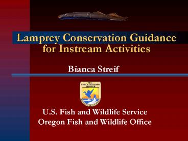 Lamprey Conservation Guidance for Instream Activities
