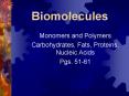 Biomolecules PowerPoint PPT Presentation