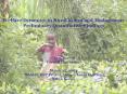 Welfare Dynamics in Rural Kenya and Madagascar: PowerPoint PPT Presentation