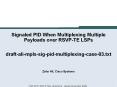 Signaled PID When Multiplexing Multiple Payloads over RSVPTE LSPs draftalimplssigpidmultiplexingcase PowerPoint PPT Presentation