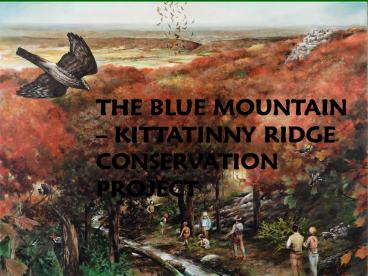 THE BLUE MOUNTAIN KITTATINNY RIDGE CONSERVATION PROJECT