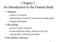 Chapter 1 An Introduction to the Human Body