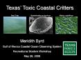2005 TPWD Red Tide Response PowerPoint PPT Presentation