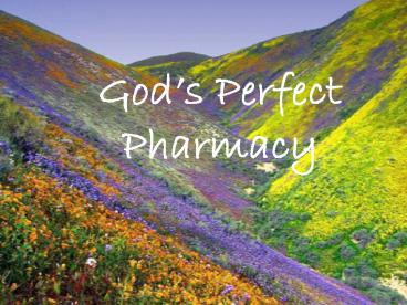 Gods Perfect Pharmacy