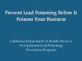 Prevent Lead Poisoning Before It Poisons Your Business PowerPoint PPT Presentation