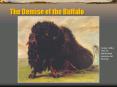 The Demise of the Buffalo PowerPoint PPT Presentation