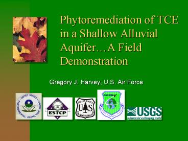 Phytoremediation of TCE in a Shallow Alluvial Aquifer