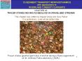 TRACER STONES MOVING AS BEDLOAD IN GRAVEL-BED STREAMS PowerPoint PPT Presentation