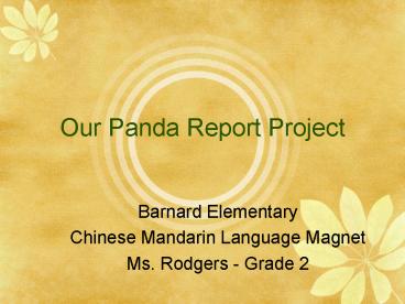 Our Panda Report Project