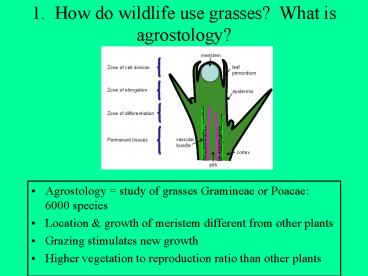 1' How do wildlife use grasses What is agrostology
