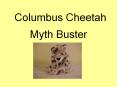 Columbus Cheetah PowerPoint PPT Presentation