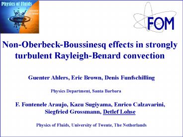 Turbulent bubbly flow
