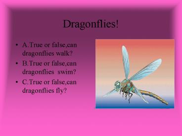 Dragonflies