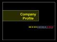 Company PowerPoint PPT Presentation