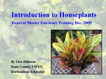 Introduction to Houseplants