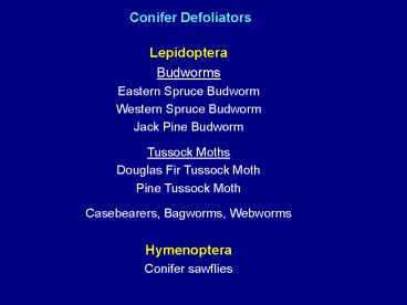Conifer Defoliators