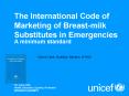 The International Code of Marketing of Breastmilk Substitutes in Emergencies PowerPoint PPT Presentation