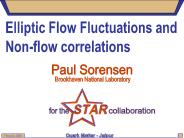 Elliptic Flow Fluctuations and