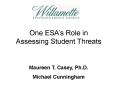Threat Assessment PowerPoint PPT Presentation