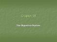 The Digestive System PowerPoint PPT Presentation