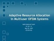 Adaptive Resource Allocation in Multiuser OFDM Systems
