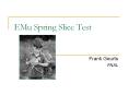 EMu Spring Slice Test PowerPoint PPT Presentation