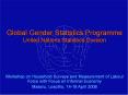 Global Gender Statistics Programme United Nations Statistics Division PowerPoint PPT Presentation