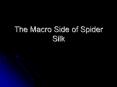 The Macro Side of Spider Silk PowerPoint PPT Presentation