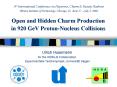 Open and Hidden Charm Production in 920 GeV Proton-Nucleus Collisions PowerPoint PPT Presentation