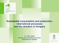 Sustainable consumption and production: international processes and the situation in Hungary PowerPoint PPT Presentation