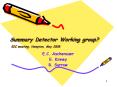 Summary Detector Working group? EIC meeting, Hampton, May 2008 PowerPoint PPT Presentation