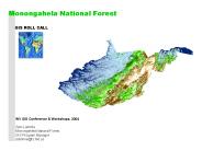 Monongahela National Forest