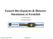 Detector Simulation Geant4 Activities at Fermilab
