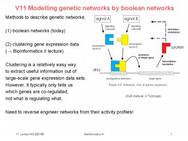 V11 Modelling genetic networks by boolean networks