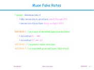 Muon Fake Rates