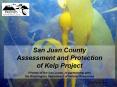 San Juan County Assessment and Protection of Kelp Project PowerPoint PPT Presentation