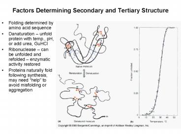 Factors Determining Secondary and Tertiary Structure