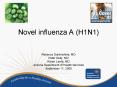 Novel influenza A H1N1 PowerPoint PPT Presentation