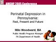 Perinatal Depression in Pennsylvania: Past, Present and Future PowerPoint PPT Presentation