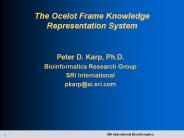The Ocelot Frame Knowledge Representation System