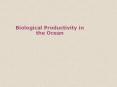 Biological Productivity in the Ocean PowerPoint PPT Presentation