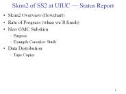 Skim2 of SS2 at UIUC 